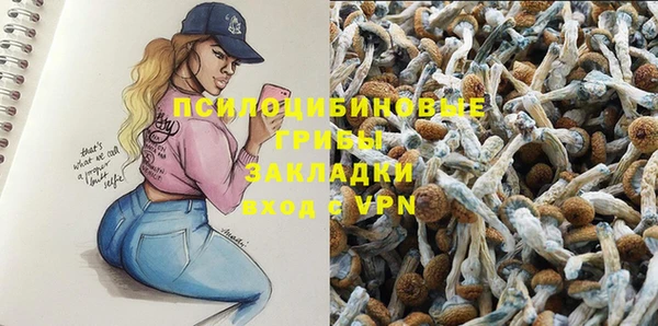 ешки Волоколамск