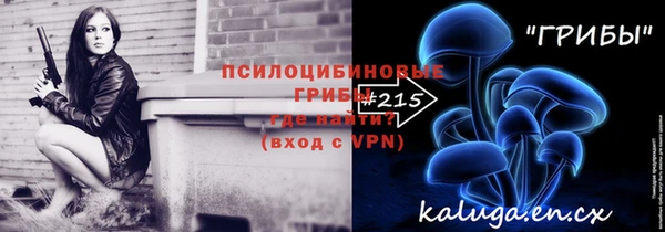 apvp Вязники