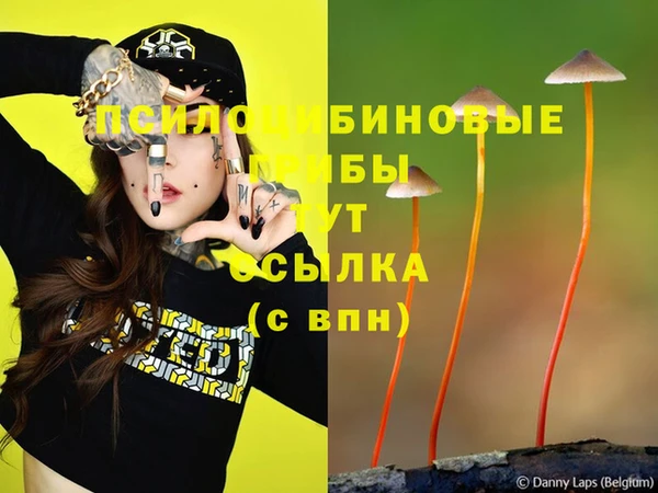 ешки Волоколамск