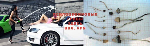 соль ск Волосово