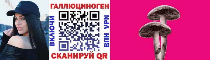 Псилоцибиновые грибы Cubensis  blacksprut   Ейск  где можно купить наркотик 