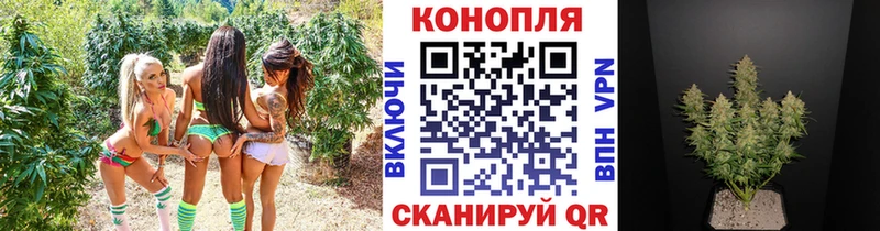 МАРИХУАНА THC 21%  mega зеркало  Ейск 